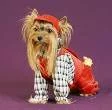 S17T5WCAKCL0HSCAQFB0VCCAQ4APHQCASISI9YCAMJYQ30CAESOU6NCACGELZJCAXXAZNUCAJMLBFNCA419UXMCA9RK00...webp