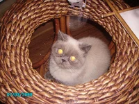 PICT2012-2.webp
