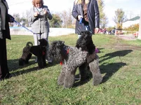 IMG_0041.webp
