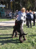 IMG_0047.webp