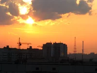 IMG_2804.webp IMG_2804.webp