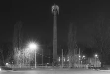 DSC_7351_crop_noisered_bw_ir_sharp_res.webp