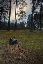 DSC_6311.jpg