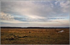 DSC_6440.jpg