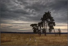 DSC_6445_crop_noise2.webp