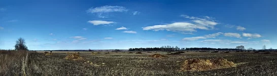 pano1_crop_.webp