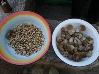 P5201606.JPG