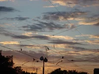 DSC02879.webp
