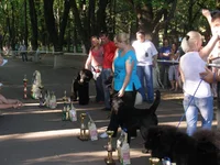 20 мая 2012 176.webp