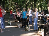 20 мая 2012 172.webp