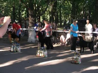 20 мая 2012 168.webp