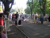20 мая 2012 165.webp