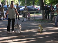 20 мая 2012 157.webp
