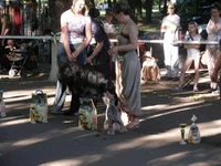 20 мая 2012 155.webp