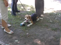 20 мая 2012 110.webp