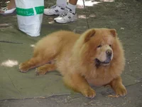 20 мая 2012 114.webp