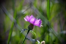 IMG_00961.webp