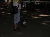 20 мая 2012 138.webp