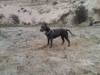 -0107.webp