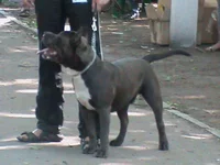 DSC00580.webp