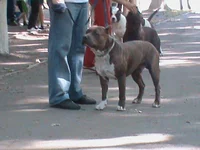 DSC00585.webp