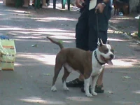 DSC00599.webp