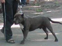 DSC00600.webp