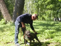 DSCN5579.webp