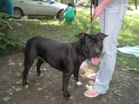 DSCN5584.webp