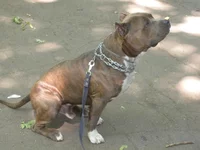 DSCN5591.webp
