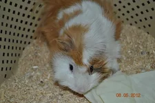 DSC_0093[1].webp