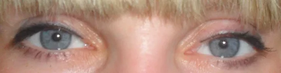 SDC12988.webp