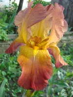 DSC03828.webp