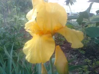 1010.webp