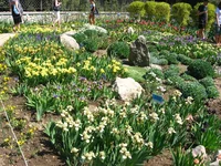 IMG_9351.webp