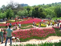 IMG_9356.webp