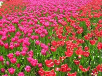 IMG_9392.webp