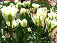 IMG_9430.webp