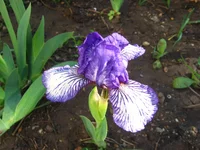 IMG_9480.webp
