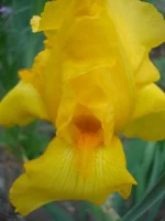 9.webp