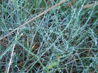 DSC02893.JPG