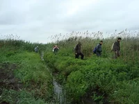 DSC02894.webp