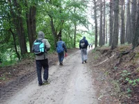 DSC02907.JPG
