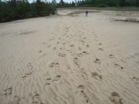 DSC03011.JPG