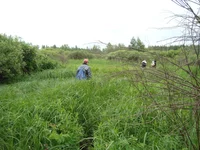 DSC03030.JPG