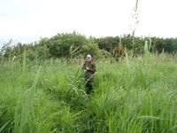 DSC03042.webp