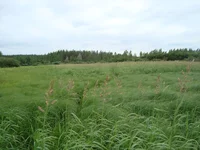 DSC03045.JPG