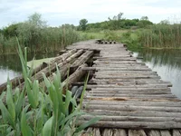 DSC03067.webp