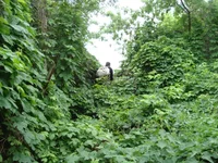DSC03091.webp
