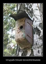 getImage173.webp